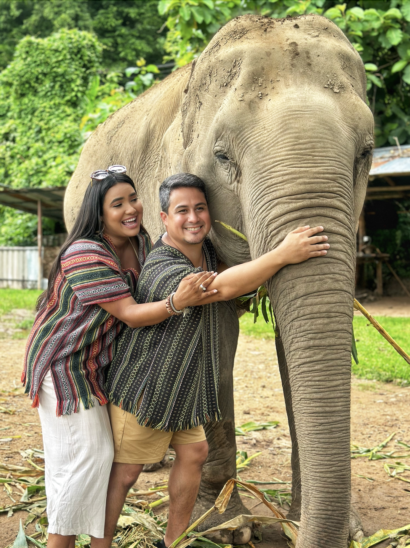 visitando santurario de elefantes en chiang mai